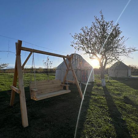 Bosogo Yurt Camp Hotell Bokonbayevo Exteriör bild